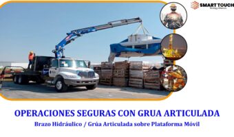 Brazo Grua