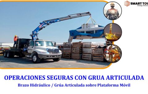 Brazo Grua